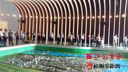 龙圩区老干部感受城市变化