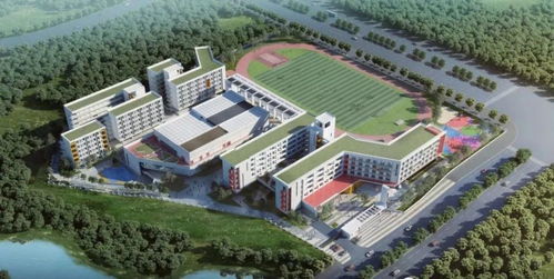 梧州市区又有6条道路完成基础设施提质施工,它们是