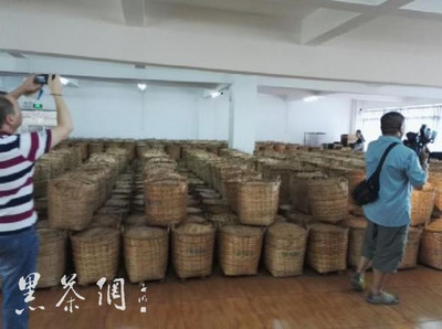 记者镜头下的六堡茶产品批号编码新形象