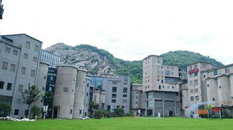 水泥厂里居然能拍都市职场剧 杭州这些老工厂个个都很洋气