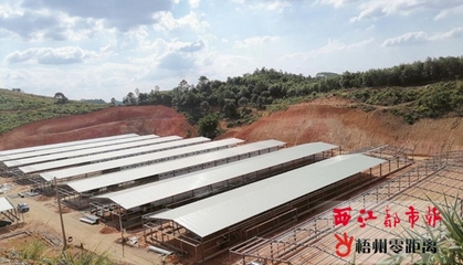 多个养殖基地年底建成投产