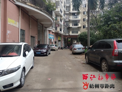 盘龙城小区垃圾堆积车辆乱停