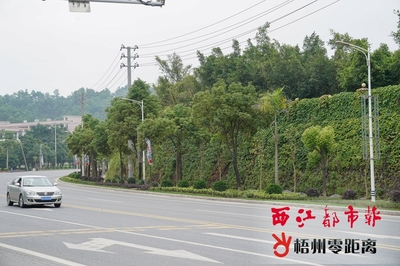 完善配套设施和绿化景观