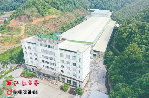 做好 食品 大文章 梧州市推动地方特色食品产业高质量发展