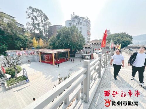 喜庆欢乐庆元旦 梧州零距离网