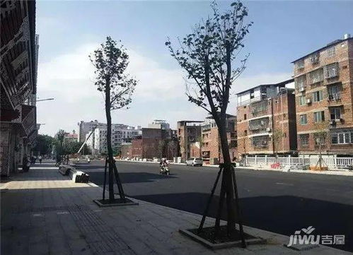 创城在行动丨赞 去年梧州市全国文明城市测评得分提高36个名次