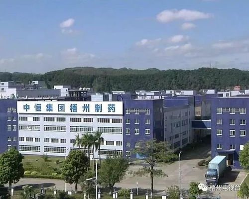推荐 梧州 老品牌 城市新名片