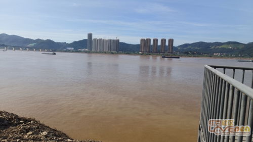 上几张梧州市区图片