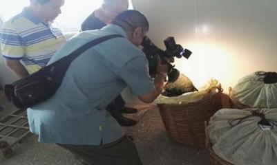 六堡茶产品批号含义不再难懂:记者镜头下的六堡茶产品批号编码新形象