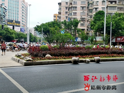 越野车撞烂阻车球“骑”上绿化带