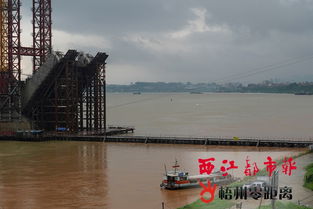 暴雨袭梧