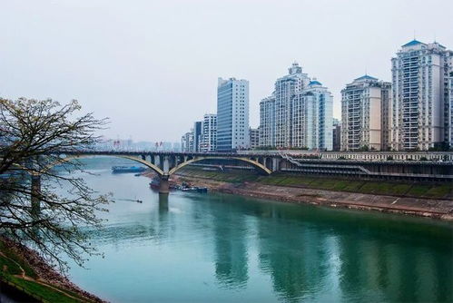 广西深处的 小香港 ,超低物价,超会享受,还用最地道的早茶征服了老广 美食 梧州 骑楼 网易订阅