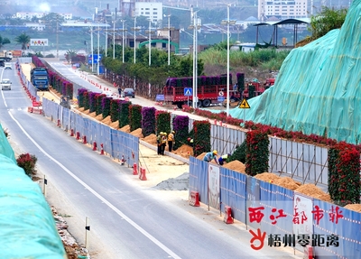 绿化改造