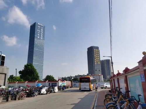 一手靠抢,二手挂牌破5万 这样的广州珠,你还爱吗