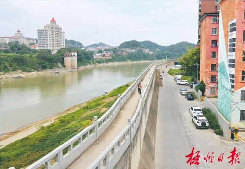 中国文明网 梧州 文明城市建设丨建设绿道美化市容