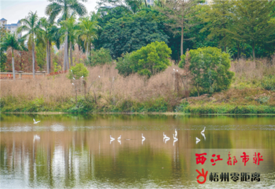 中国文明网_梧州_动植物和谐共生