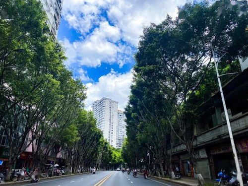 今天起,请叫梧州4线城市...