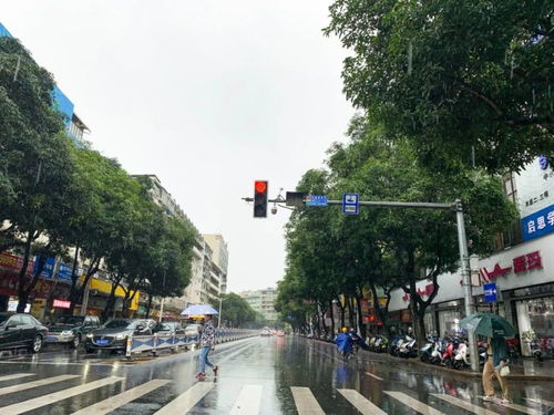 暴雨防御警报 今天下午,梧州强降雨侵袭市区 未来几天继续有雨