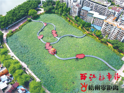 中国文明网_梧州_都市绿肺