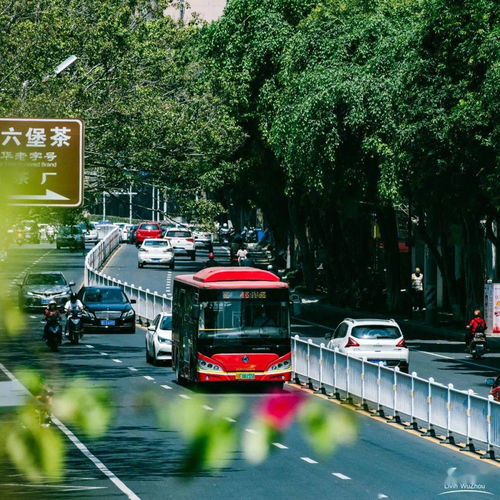 今天起,请叫梧州4线城市...