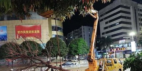 广西梧州突降暴雨致市区多处内涝 消防紧急转移68人