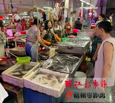 珠江流域禁渔期结束