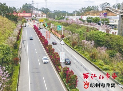 中国文明网_梧州_道路绚丽多彩