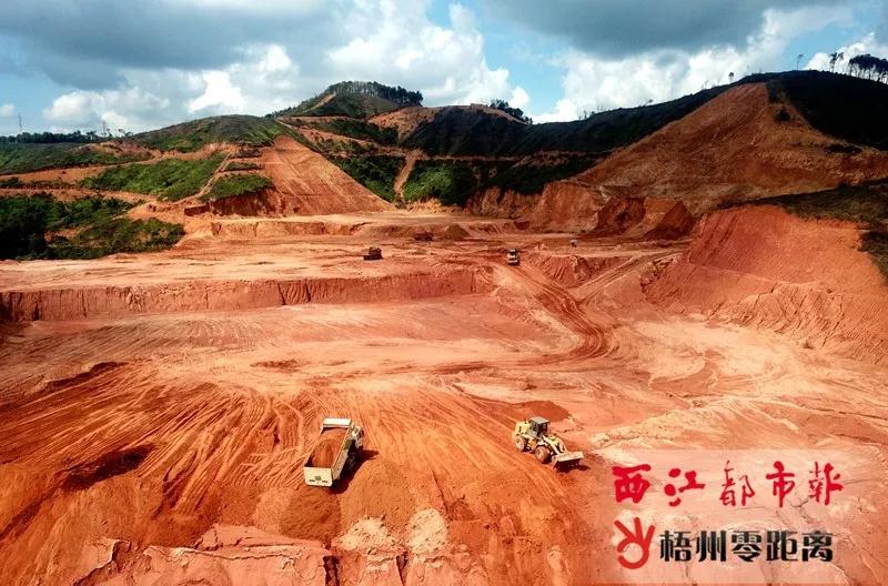 梧州零距离网